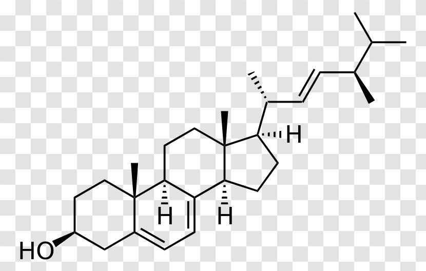 Cholesterol Molecule Cortisol Steroid - Symmetry - Ergosterol Transparent PNG