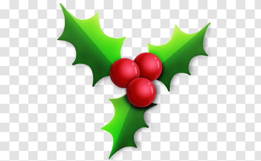 Santa Claus Candy Cane Christmas - Star Of Bethlehem - Holly Transparent PNG