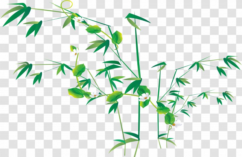 Bamboo Flower - Reed Pen Transparent PNG