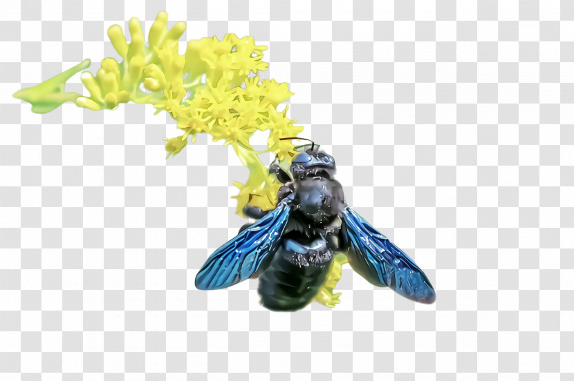 Bumblebee Transparent PNG