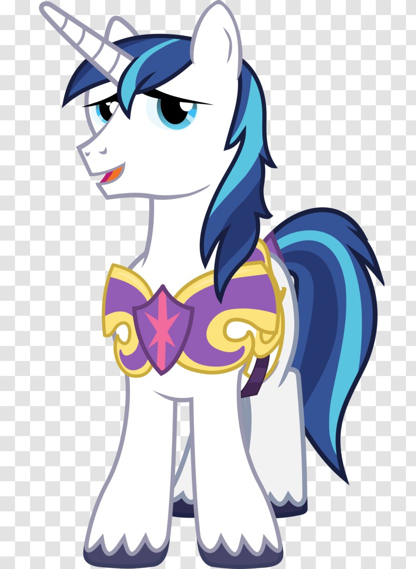 Princess Cadance Twilight Sparkle Shining Armor Rainbow Dash Pony - Cartoon - Middle-aged Male Lecturer Transparent PNG