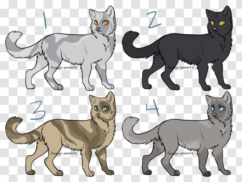 Kitten Whiskers Wildcat Popular Cat Names - Puma Transparent PNG