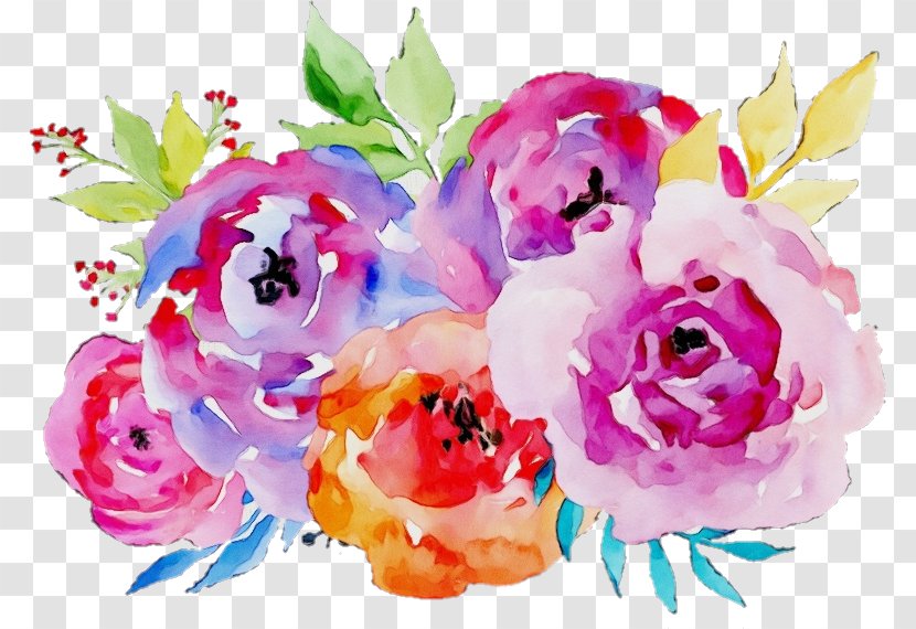 Garden Roses - Paint - Rose Family Transparent PNG