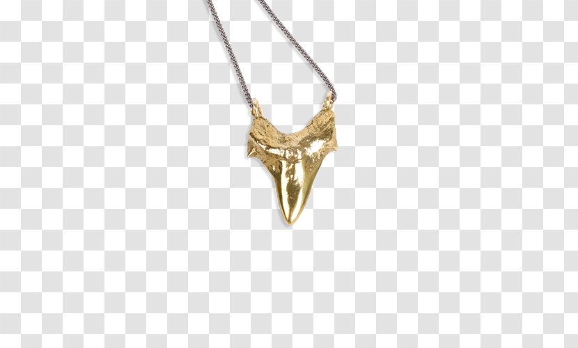 Necklace Shark Tooth Charms & Pendants Jewellery - Tiger Transparent PNG