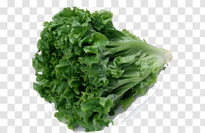 Celtuce Chinese Cuisine Organic Food Leaf Vegetable Romaine Lettuce - Cabbage - Green Vegetables Transparent PNG