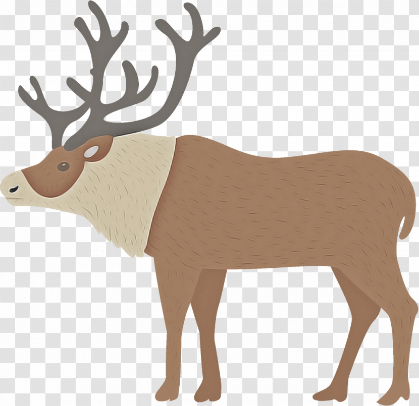 Reindeer Christmas Reindeer Christmas Transparent PNG