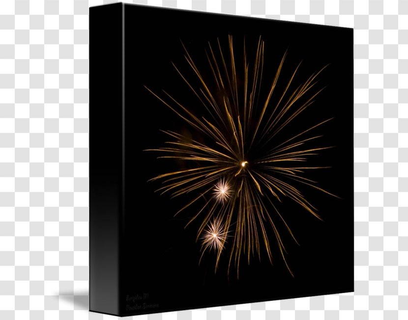 Stock Photography Fireworks - Paper Firework Transparent PNG