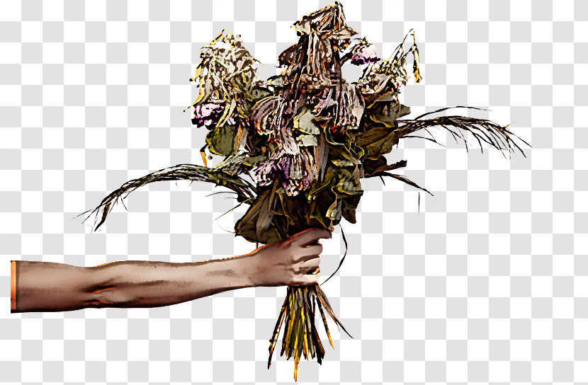 Floral Design Transparent PNG