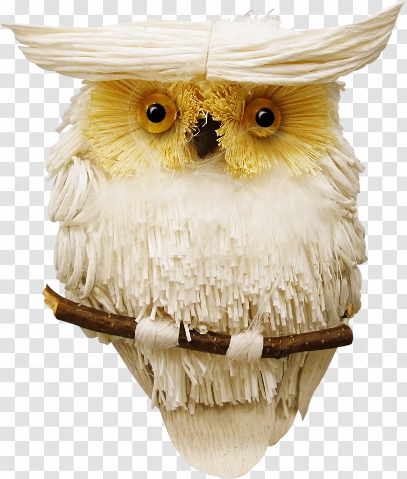 Little Owl Wallpaper - Winter - Cute Transparent PNG