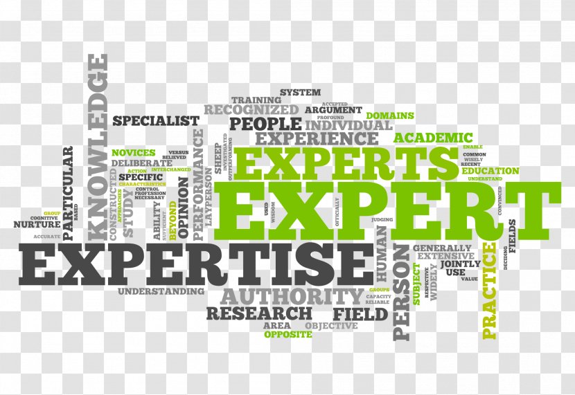 Adaptive Expertise Expert Witness Service SEO Sydney Solutions - Text Transparent PNG