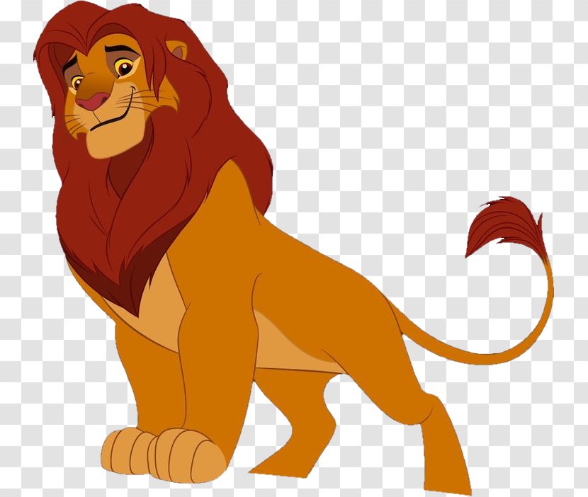 Simba Nala Kion Mufasa Lion - Tail Transparent PNG