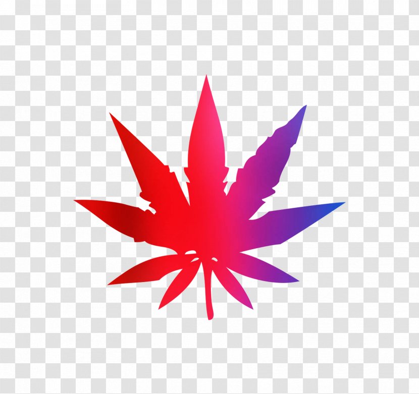 Cannabis Sativa Clip Art Ruderalis Marijuana - Magenta - Hemp Transparent PNG