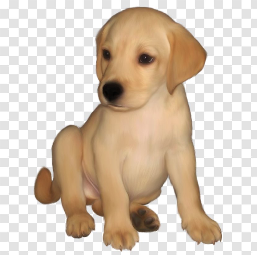 Labrador Retriever Golden Puppy Clip Art - Dog - Painted Small Yellow Picture Transparent PNG