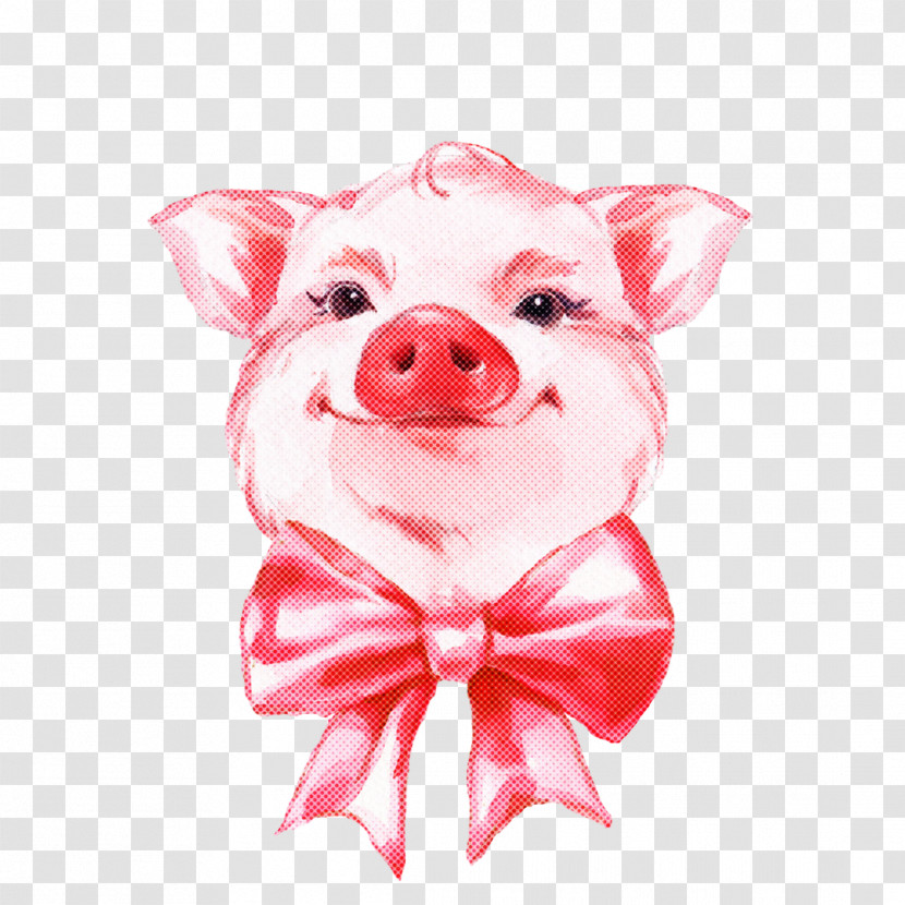 Pink Suidae Snout Livestock Smile Transparent PNG