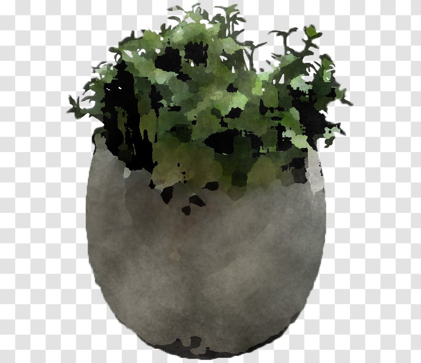 Flowerpot Green Plant Leaf Flower - World - Herb Transparent PNG