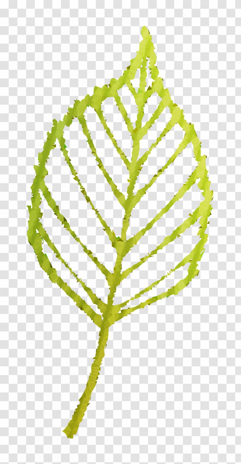 Twig Plant Stem Leaf Line Font - Plants Transparent PNG