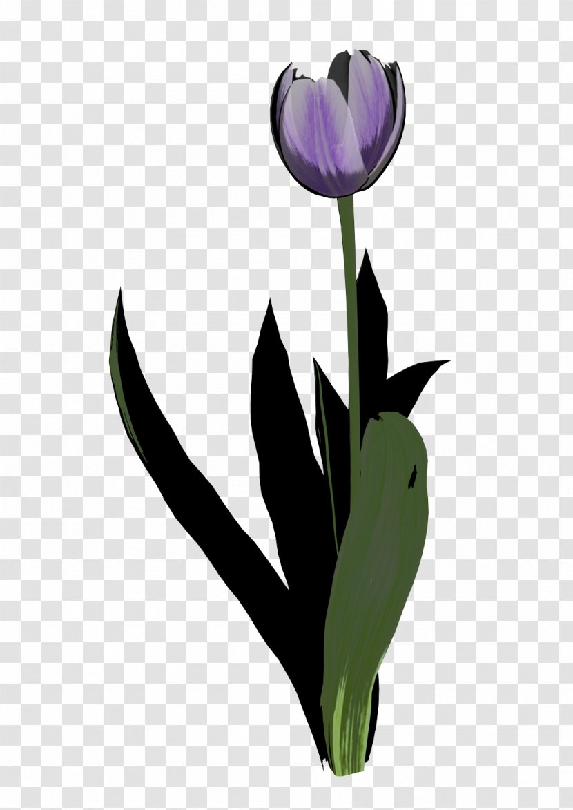 Clip Art Tulip Graphics Image Bing - High Clipart Transparent PNG