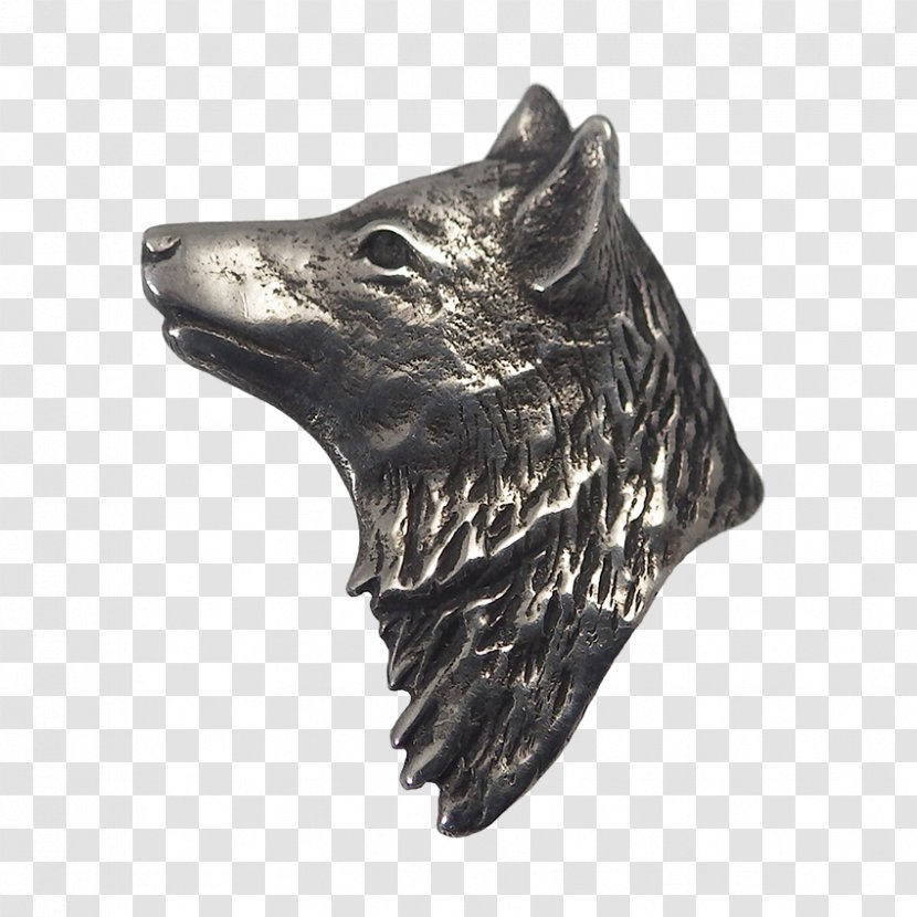 Snout - Coyote Transparent PNG