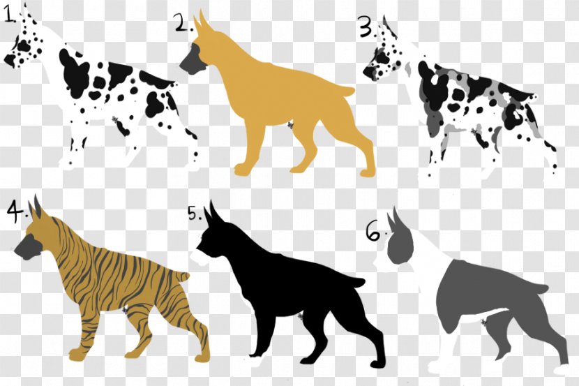 Cat Dog Breed Tiger Non-sporting Group Transparent PNG