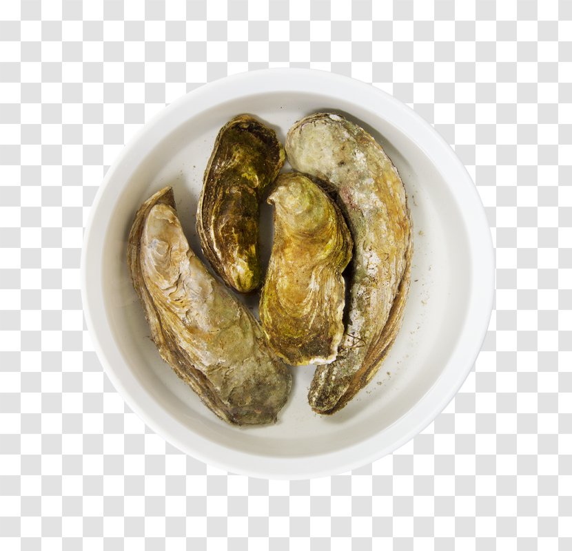 Oyster Clam Mussel Recipe Ingredient - Food - сухие завтраки Transparent PNG