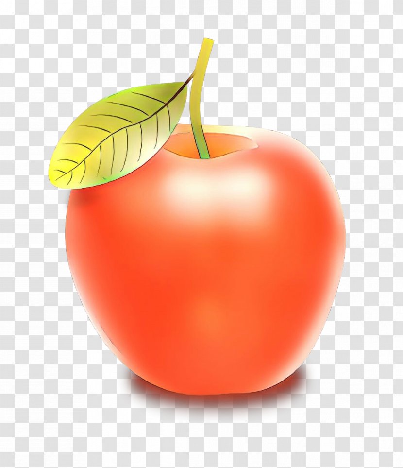 Cherry Tree - Roma Tomato - Drupe Superfood Transparent PNG