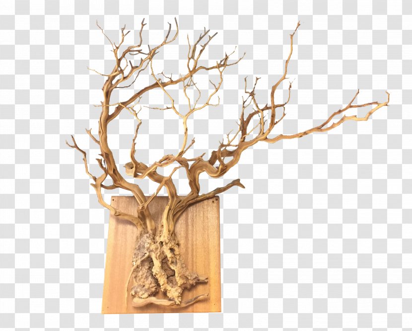 Twig Root Wall Wood Tree Chairish - Branch - Wooden Hanging Transparent PNG
