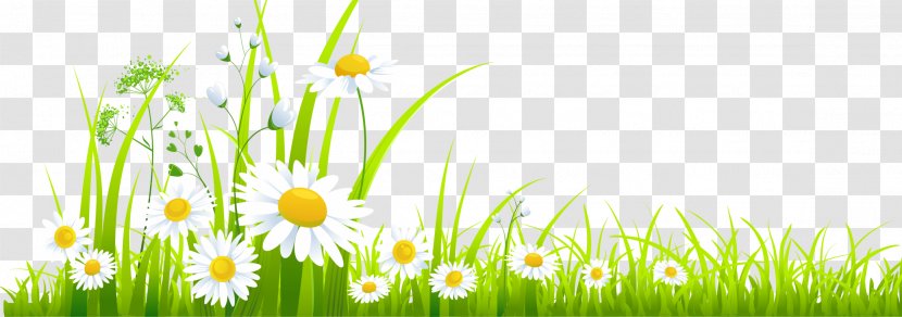Clip Art Lawn Openclipart Image - Grass - Natural Background Transparent PNG