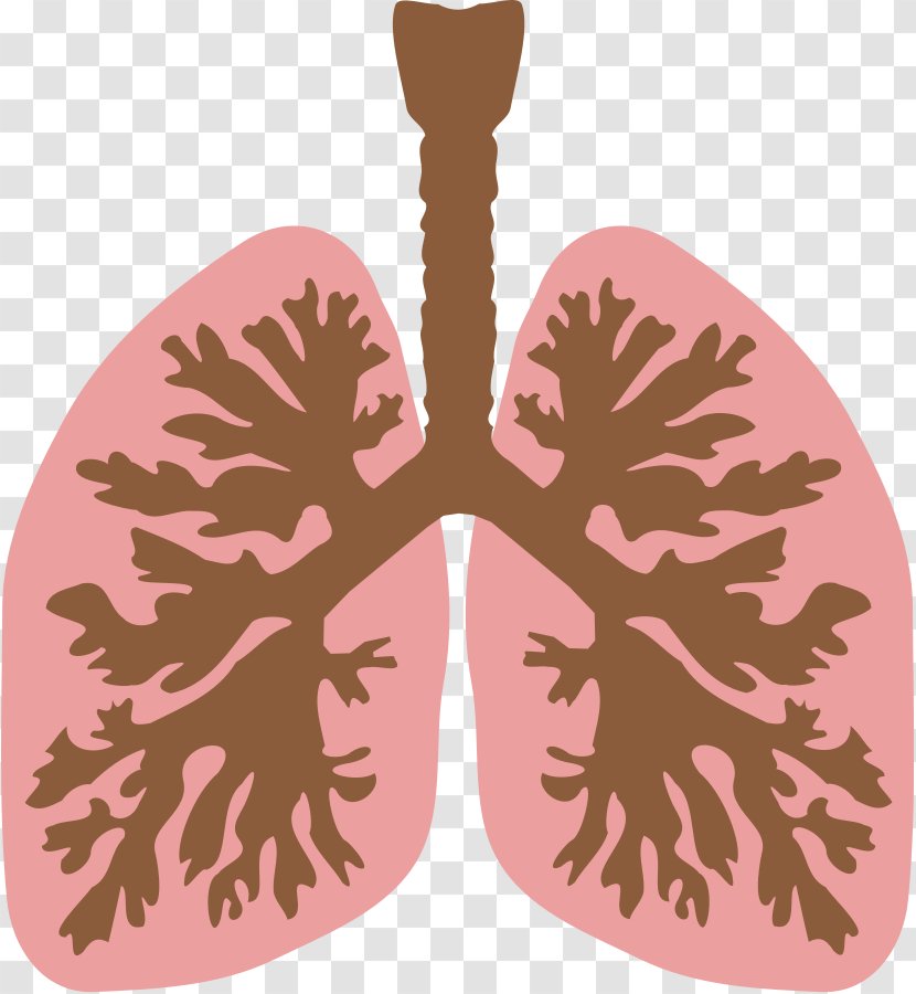 Lung Bronchus Human Body Clip Art - Flower - Wheeze Cliparts Transparent PNG