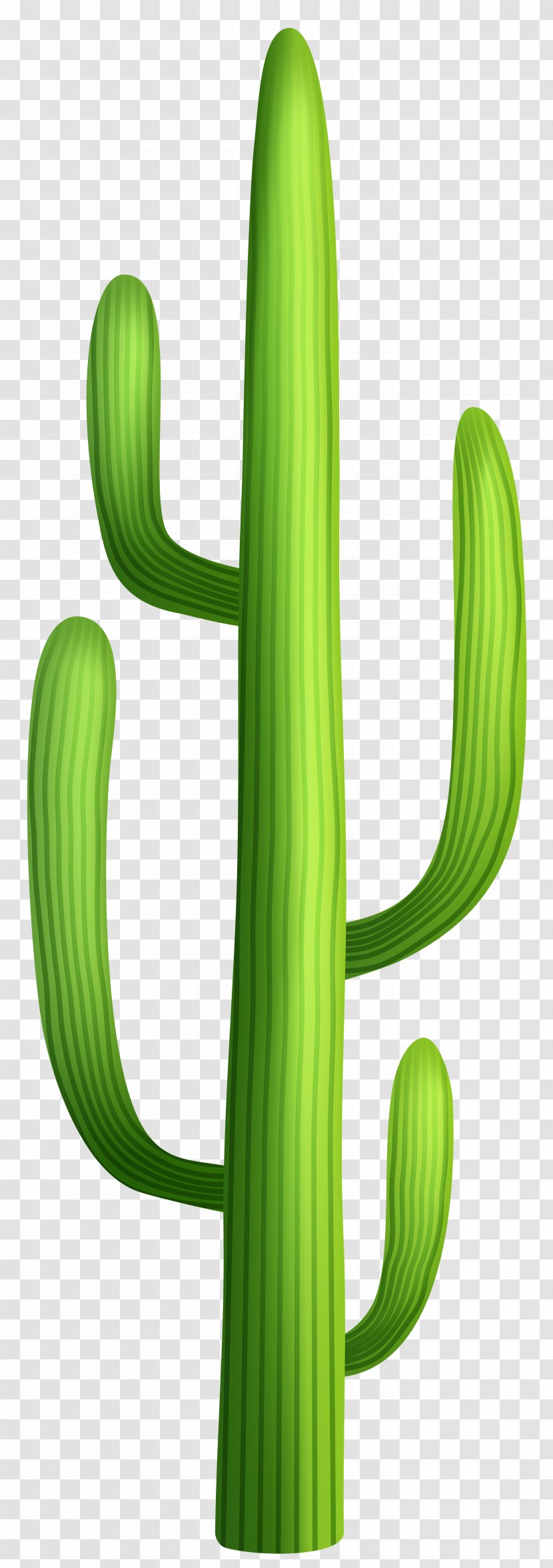 Cactaceae Desert Clip Art - Plant - Cactus Transparent PNG