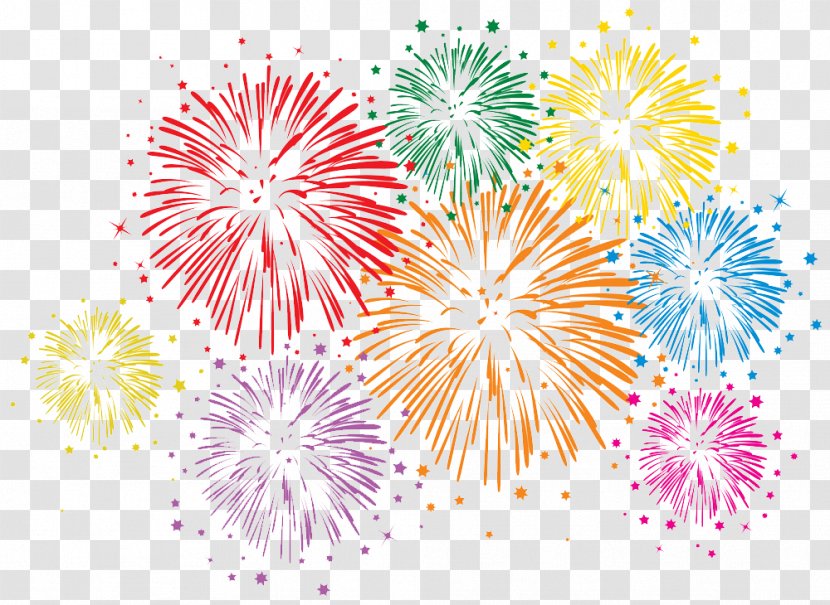 Fireworks Royalty-free Stock Photography - Color - Bloom Of Transparent PNG