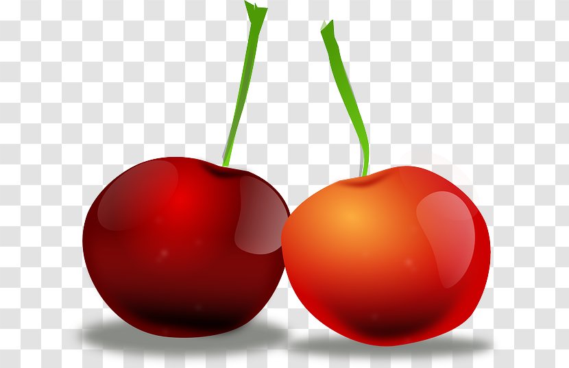 Cherry Pie Fruit Clip Art - Plant - Red Plums Transparent PNG