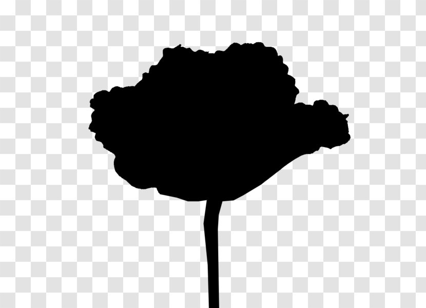 Leaf Clip Art Flower Silhouette Tree - Plant Stem Transparent PNG