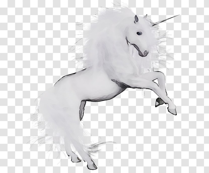 Dog Canidae /m/02csf Unicorn Mammal - Blackandwhite - Animal Figure Transparent PNG