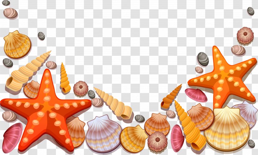 Clip Art Vector Graphics Seashell Illustration - Mollusc Shell - Clipart Sea Transparent PNG