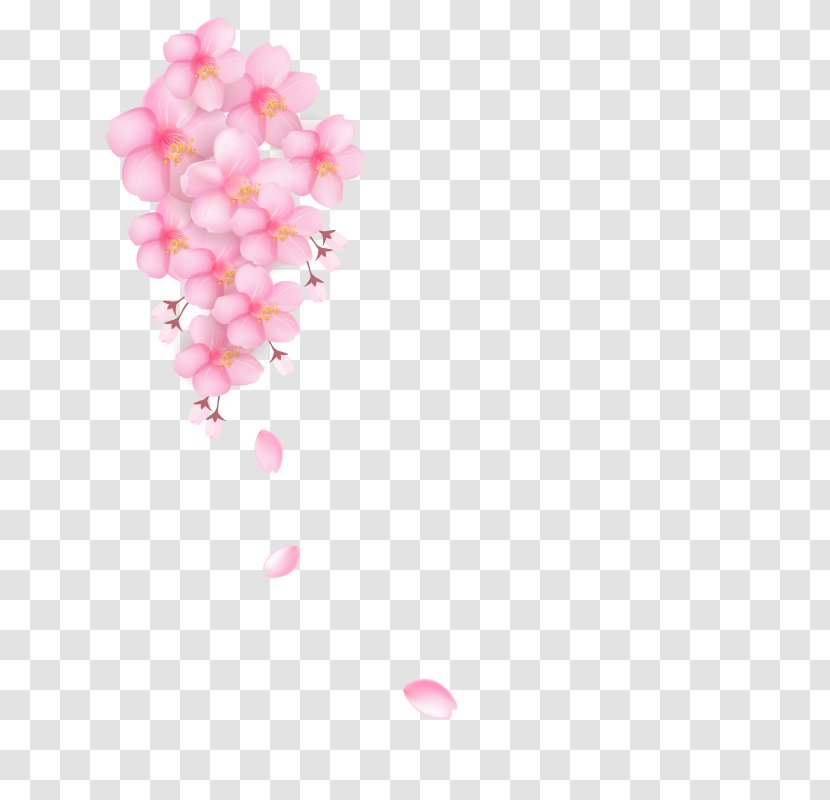 Download Cherry Blossom Petal Pink - Tree Flowers Transparent PNG