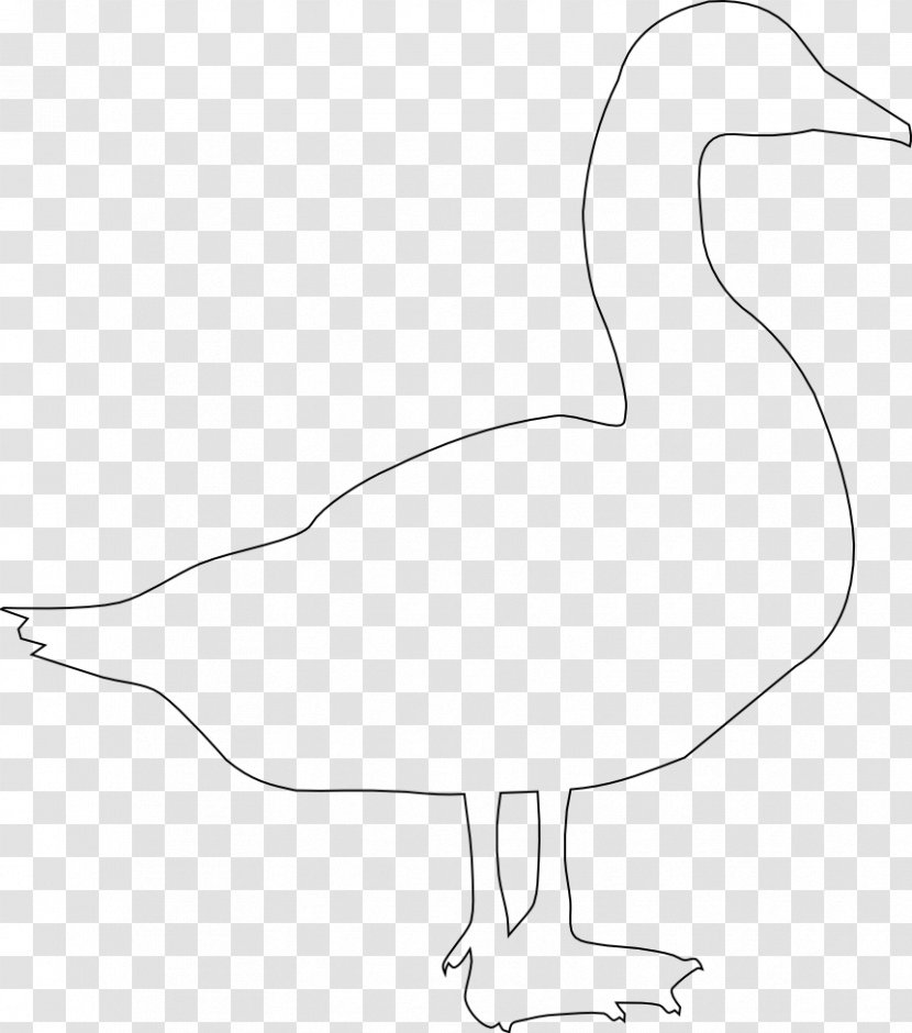 Goose Duck Bird Stencil Anatidae Transparent PNG