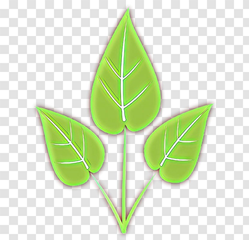Leaf Green Plant Clip Art Logo - Cartoon - Anthurium Flower Transparent PNG