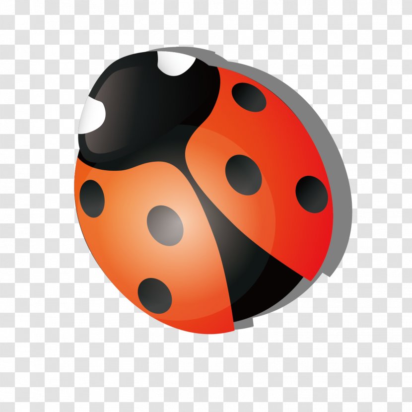 Ladybird Insect Coccinella Septempunctata - Invertebrate - Red Cartoon Seven Star Ladybug Vector Transparent PNG