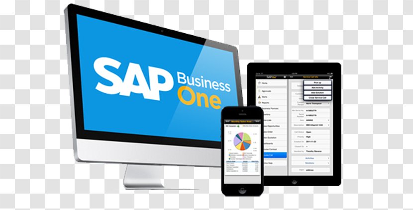 SAP Business One Enterprise Resource Planning SE ERP - Information Technology Transparent PNG