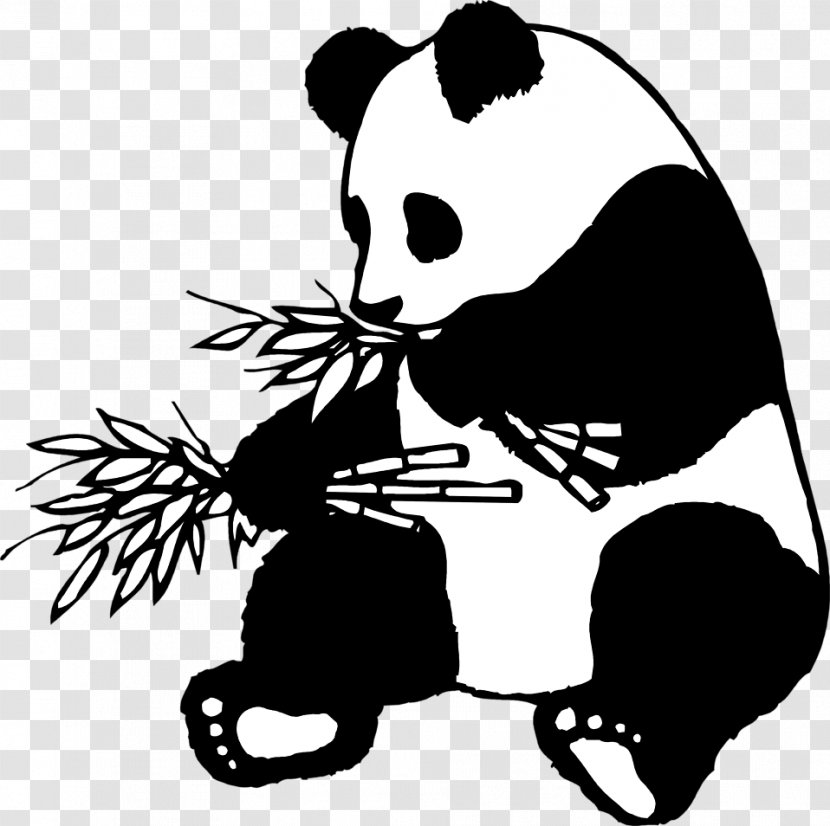 Giant Panda Bear Red Cuteness Clip Art - Monochrome Photography - Eating Cliparts Transparent PNG