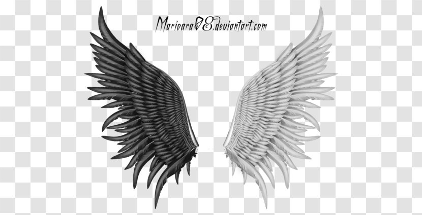 Angel Feathers - Rendering - Wing Transparent PNG