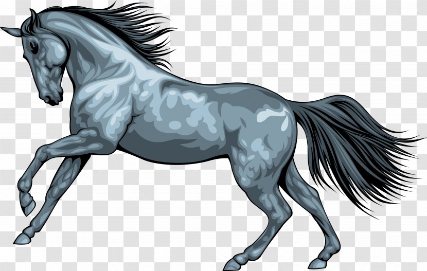 Horse - Animal - Foal Transparent PNG