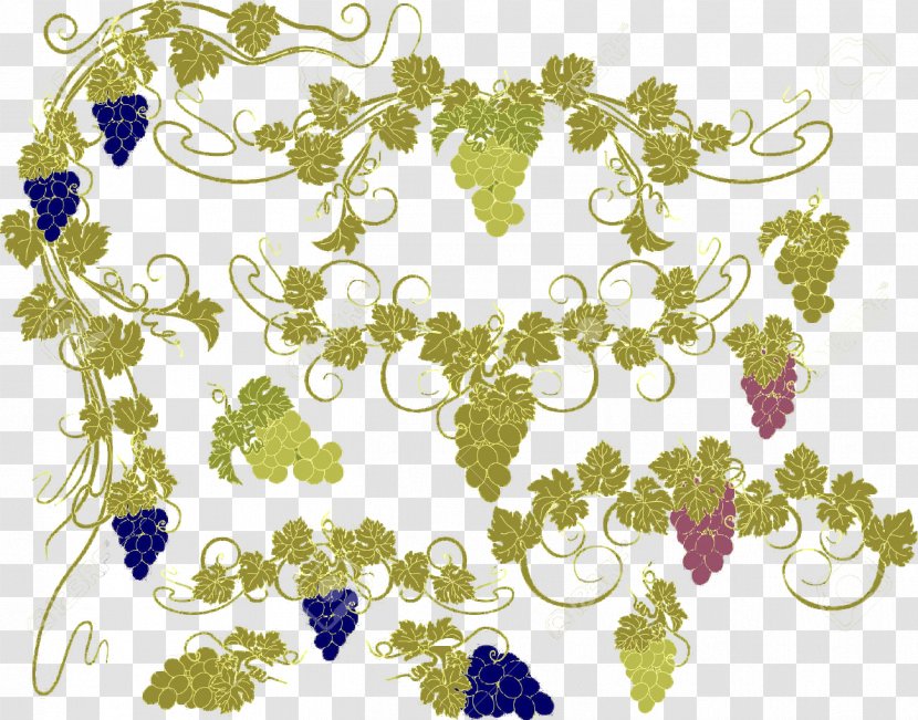 Common Grape Vine Clip Art - Grapes Transparent PNG