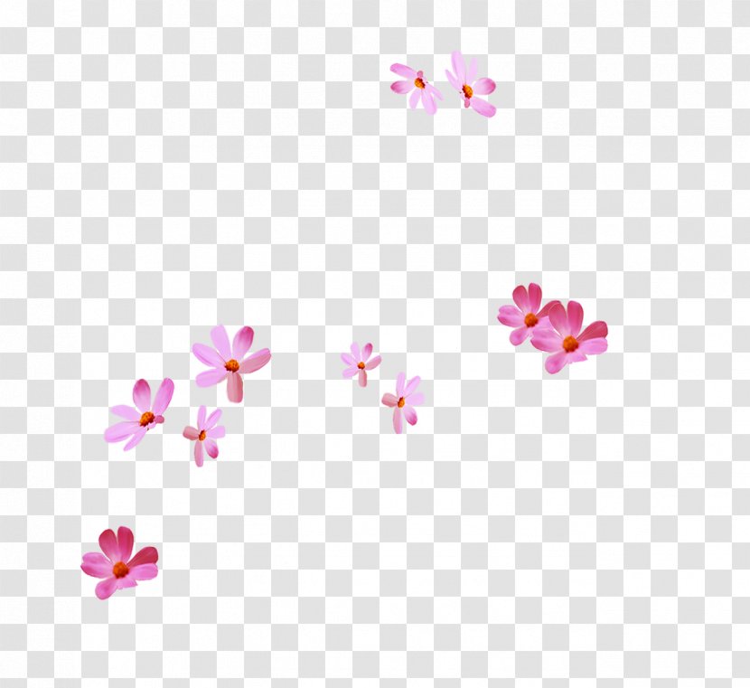 Image Digital Illustration Design Petal - Spring Transparent PNG