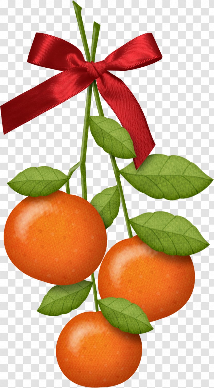 Tangyuan Mandarin Orange Chinese New Year - Diet Food Transparent PNG