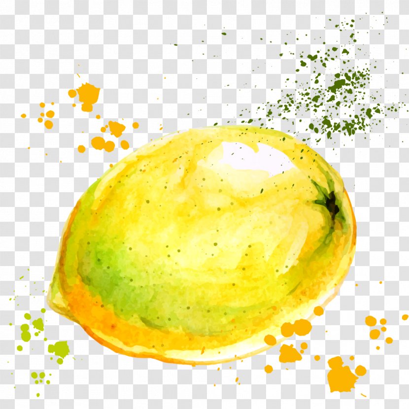 Apple Fruit Illustration - Tomato - Vector Watercolor Lemon Transparent PNG