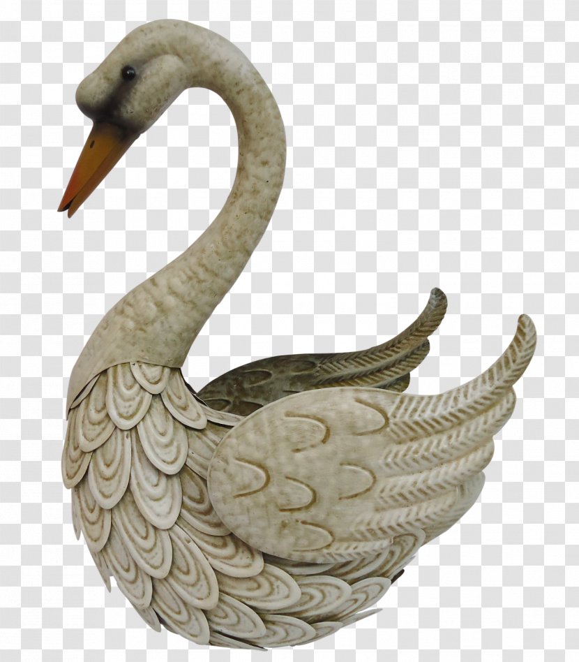 Duck Water Bird Cygnini Goose - Swan Transparent PNG