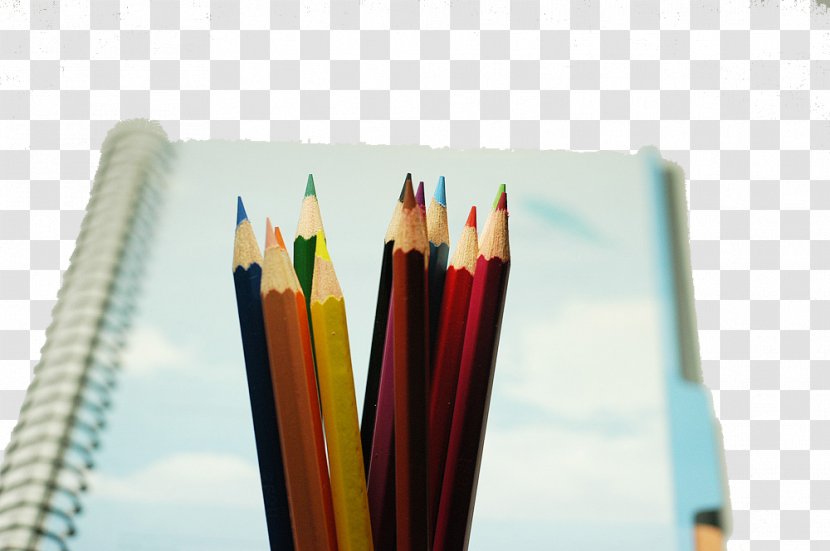 Paper Office Supplies Stationery Colored Pencil - The And Painting Transparent PNG