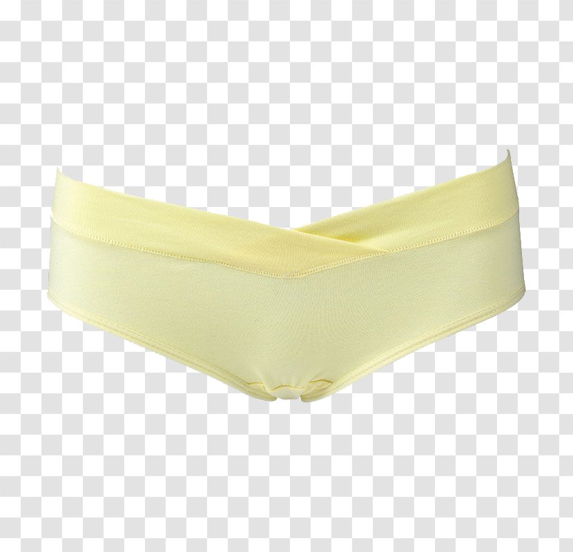 Briefs Underpants Download - Tree - Pregnant Women Cotton Underwear Transparent PNG