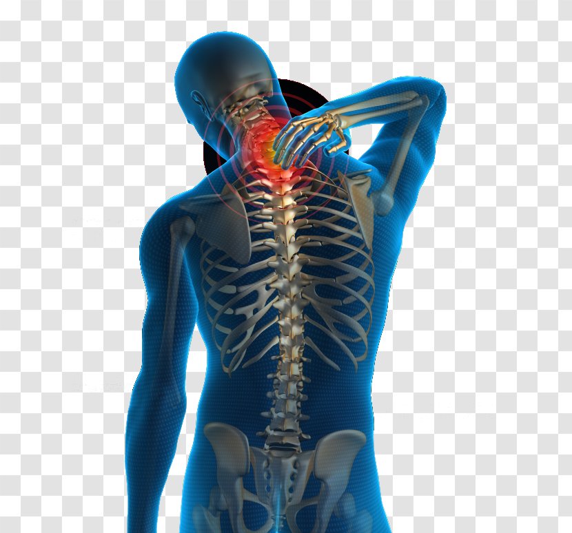 Neck Pain Low Back Human Physical Therapy - Electric Blue - Health Transparent PNG